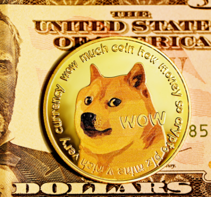 Dogecoin Sentiment Hits Low: Is Now the Time to Buy?