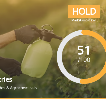 NACL Industries Receives 'Hold' Upgrade After Positive Quarterly Results and Cash Flow