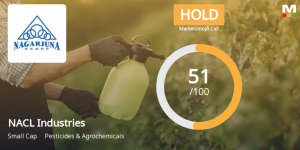 NACL Industries Receives 'Hold' Upgrade After Positive Quarterly Results and Cash Flow