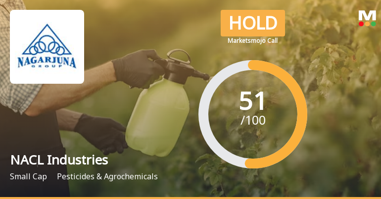 NACL Industries Receives 'Hold' Upgrade After Positive Quarterly Results and Cash Flow